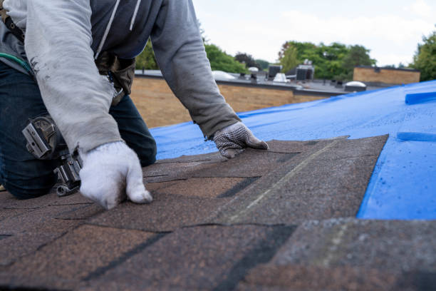 Best Storm Damage Roof Repair  in Utica, SC